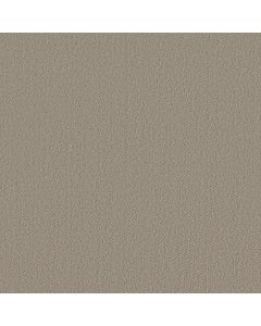 Shaw HIGHLAND TWILL Sandstone Carpet - SH-5E687-00115