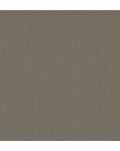 Shaw HIGHLAND TWILL Fallen Acorn Carpet - SH-5E687-00501