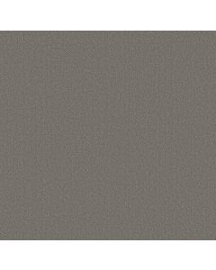 Shaw HIGHLAND TWILL Lunar Haze Carpet - SH-5E687-00509