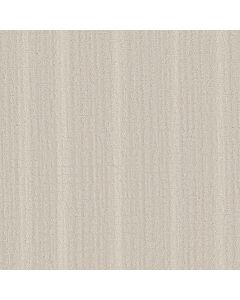 Shaw SKYLINE SHIFT Warm Light Carpet - SH-5E688-00103