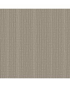 Shaw SKYLINE SHIFT Dreamy Beige Carpet - SH-5E688-00108
