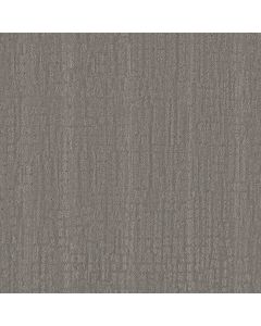 Shaw SKYLINE SHIFT Sheer Taupe Carpet - SH-5E688-00504