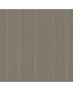 Shaw SKYLINE SHIFT Stonehaven Carpet - SH-5E688-00505