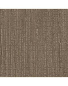 Shaw SKYLINE SHIFT Acorn Carpet - SH-5E688-00704