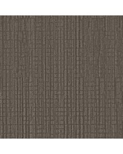 Shaw SKYLINE SHIFT Tree Bark Carpet - SH-5E688-00706