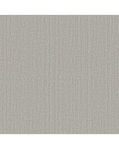 Shaw SHADY STROLL Silver Cloud Carpet - SH-5E689-00101