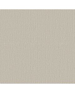 Shaw SHADY STROLL Warm Light Carpet - SH-5E689-00103
