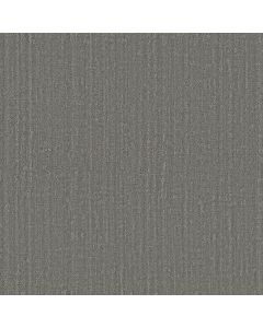 Shaw SHADY STROLL Sheer Taupe Carpet - SH-5E689-00504