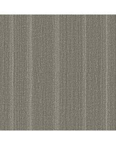 Shaw SHADY STROLL Stonehaven Carpet - SH-5E689-00505