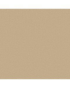 Shaw AWAKEN SPIRIT I 12' Sugar Cookie Carpet - SH-5E690-00105