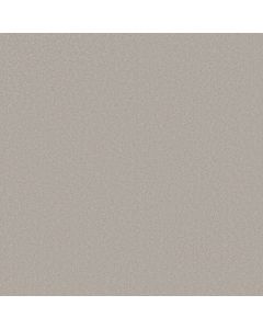 Shaw AWAKEN SPIRIT I 12' Ice Cube Carpet - SH-5E690-00114