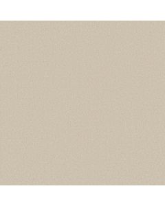 Shaw AWAKEN SPIRIT II 12' Cream Carpet - SH-5E691-00101