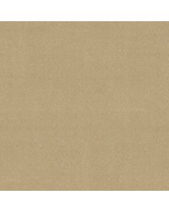 Shaw AWAKEN SPIRIT II 12' Sugar Cookie Carpet - SH-5E691-00105