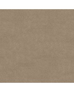 Shaw AWAKEN SPIRIT II 12' Fresco Carpet - SH-5E691-00109