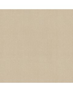 Shaw AWAKEN SPIRIT II 12' Cottage Carpet - SH-5E691-00111