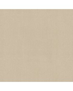 Shaw AWAKEN SPIRIT II 12' Windfresh Carpet - SH-5E691-00113