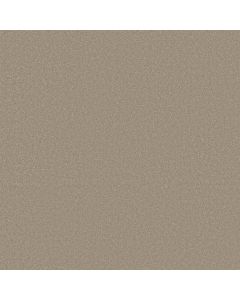 Shaw AWAKEN SPIRIT II 12' Neutral Ground Carpet - SH-5E691-00115