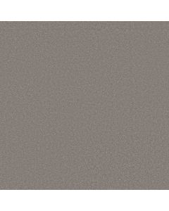 Shaw AWAKEN SPIRIT II 12' Boulder Taupe Carpet - SH-5E691-00117