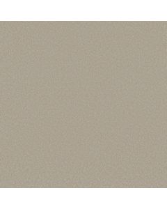 Shaw AWAKEN SPIRIT II 12' Whiskers Carpet - SH-5E691-00161