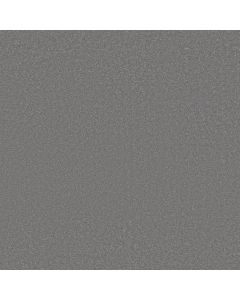 Shaw AWAKEN SPIRIT II 12' Magnetic Carpet - SH-5E691-00511