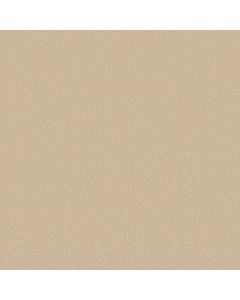 Shaw AWAKEN SPIRIT II 15' Sunlight Carpet - SH-5E692-00100