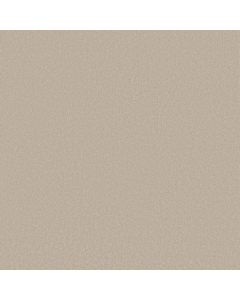 Shaw AWAKEN SPIRIT II 15' Cloud Carpet - SH-5E692-00102