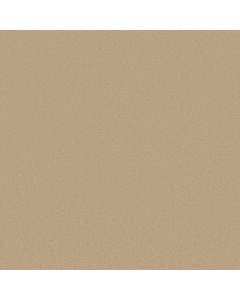 Shaw AWAKEN SPIRIT II 15' Sugar Cookie Carpet - SH-5E692-00105