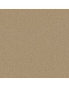 Shaw AWAKEN SPIRIT II 15' Classic Buff Carpet - SH-5E692-00108