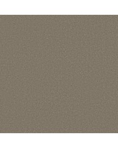 Shaw AWAKEN SPIRIT II 15' Bungalow Carpet - SH-5E692-00110