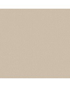 Shaw AWAKEN SPIRIT II 15' Cottage Carpet - SH-5E692-00111