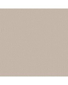 Shaw AWAKEN SPIRIT II 15' Spun Wool Carpet - SH-5E692-00112