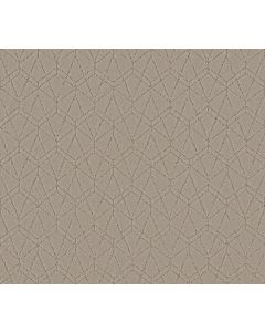 Shaw POINT OF VIEW Chic Greige Carpet - SH-5E695-00111