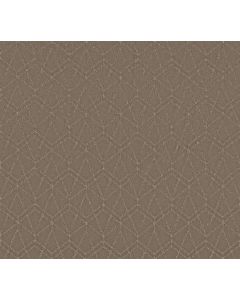 Shaw POINT OF VIEW Cameo Carpet - SH-5E695-00113