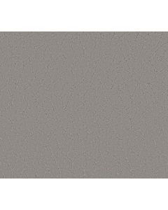 Shaw POINT OF VIEW Vintage Carpet - SH-5E695-00509