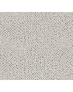 Shaw ELABORATE ARTIFACT Frozen Carpet - SH-5E696-00107