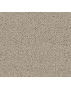 Shaw ELABORATE ARTIFACT Chic Greige Carpet - SH-5E696-00111