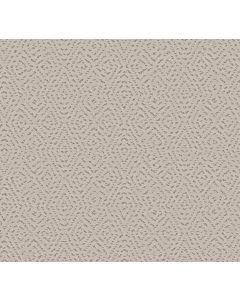 Shaw ELABORATE ARTIFACT Soft Sense Carpet - SH-5E696-00112