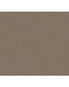 Shaw ELABORATE ARTIFACT Cameo Carpet - SH-5E696-00113