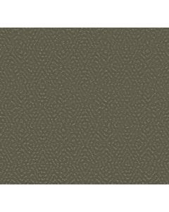 Shaw ELABORATE ARTIFACT Rerooted Nature Carpet - SH-5E696-00300