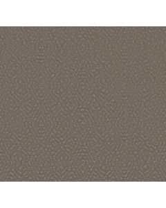 Shaw ELABORATE ARTIFACT Ashes Carpet - SH-5E696-00501