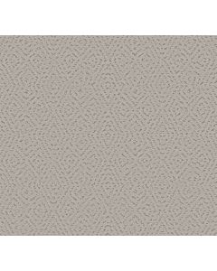 Shaw ELABORATE ARTIFACT Rock Crystal Carpet - SH-5E696-00508