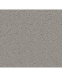 Shaw ELABORATE ARTIFACT Vintage Carpet - SH-5E696-00509
