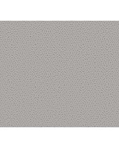 Shaw ELABORATE ARTIFACT Lilac Gray Carpet - SH-5E696-00550