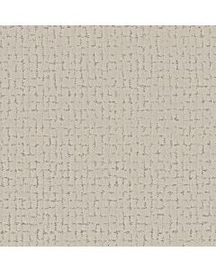 Shaw BLOCK PARTY Marble Carpet - SH-5E697-00103