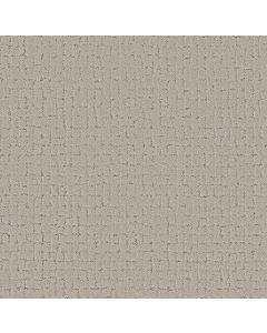 Shaw BLOCK PARTY River Birch Carpet - SH-5E697-00106