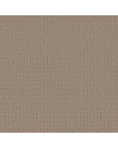 Shaw BLOCK PARTY Cameo Carpet - SH-5E697-00113