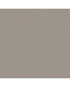 Shaw BEST YET Sea Salt Carpet - SH-5E745-00110