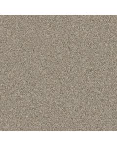 Shaw BEST YET Buttercream Carpet - SH-5E745-00112