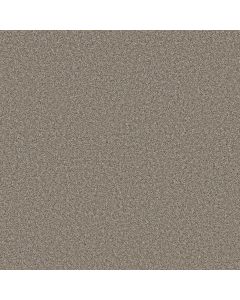Shaw BEST YET Cottage Carpet - SH-5E745-00113