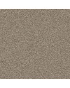 Shaw BEST YET Parchment Carpet - SH-5E745-00114